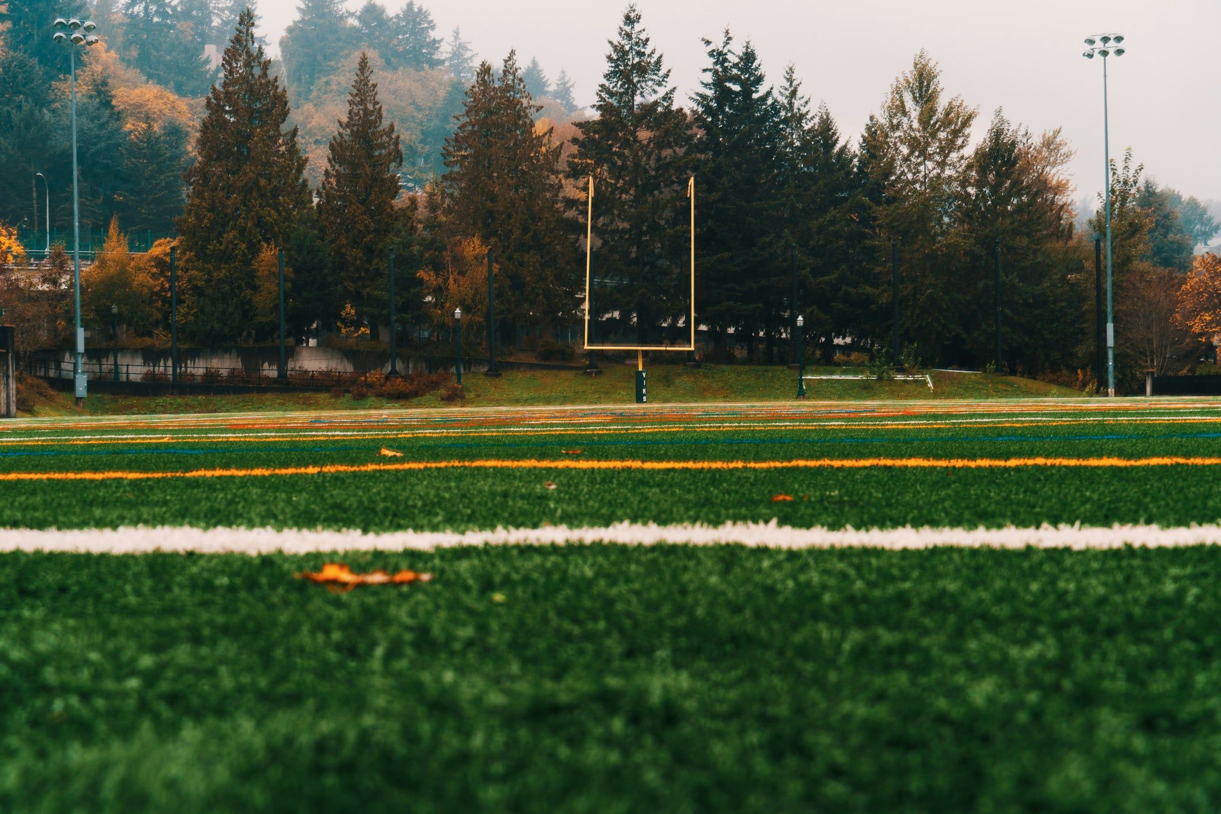 Campo da football americano con i pali a forma di H sullo sfondo, l'erba verde in primo piano e una fila di abeti nella nebbia