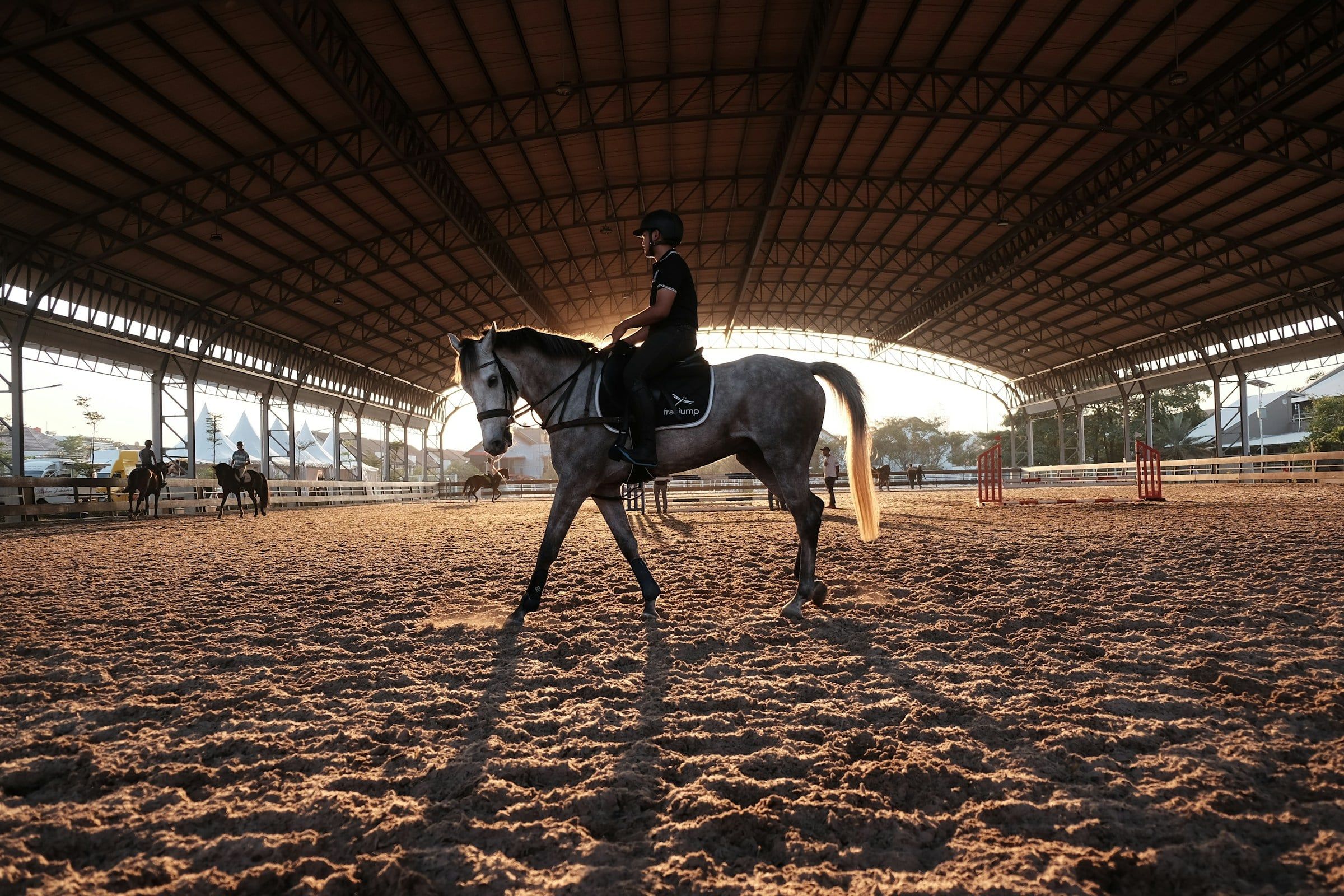 Cavaliere al passo in un maneggio coperto, in controluce tra la sabbia dell'arena e le travi in legno del tetto