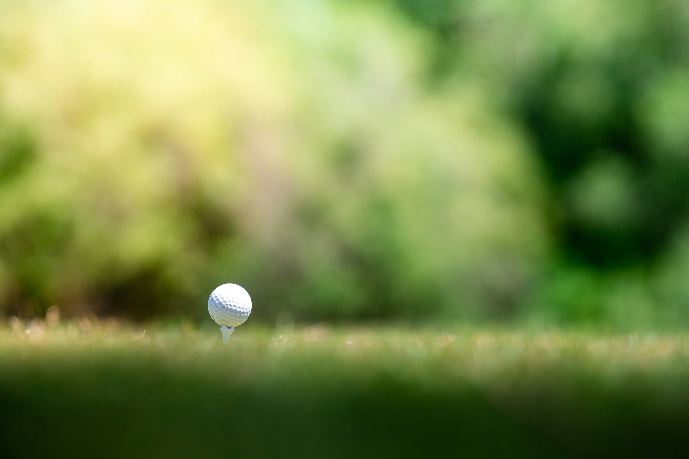 Pallina da golf bianca posata sul tee nell'erba del campo, con il verde degli alberi sfocato sullo sfondo