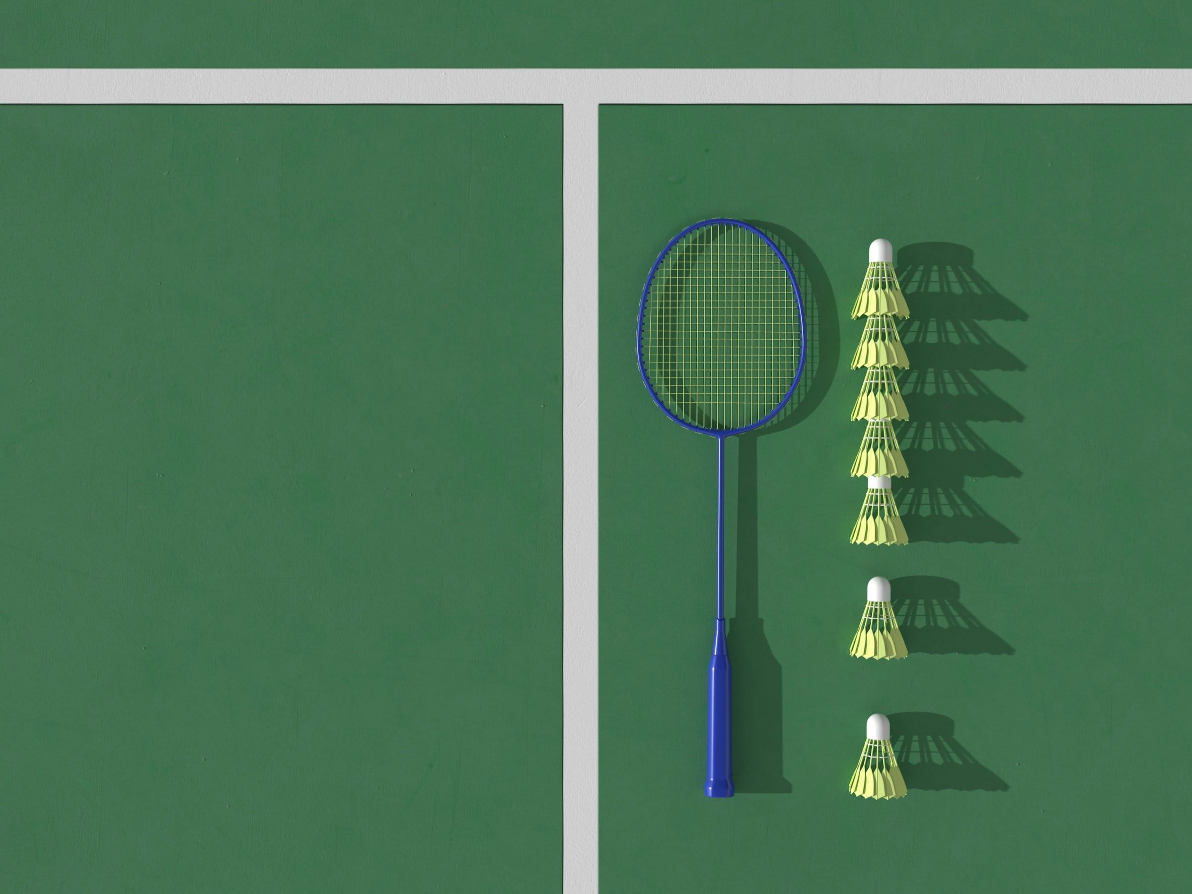Racchetta da badminton e una fila di volani bianchi appoggiati sul pavimento verde di un campo da gioco, accanto alle linee bianche