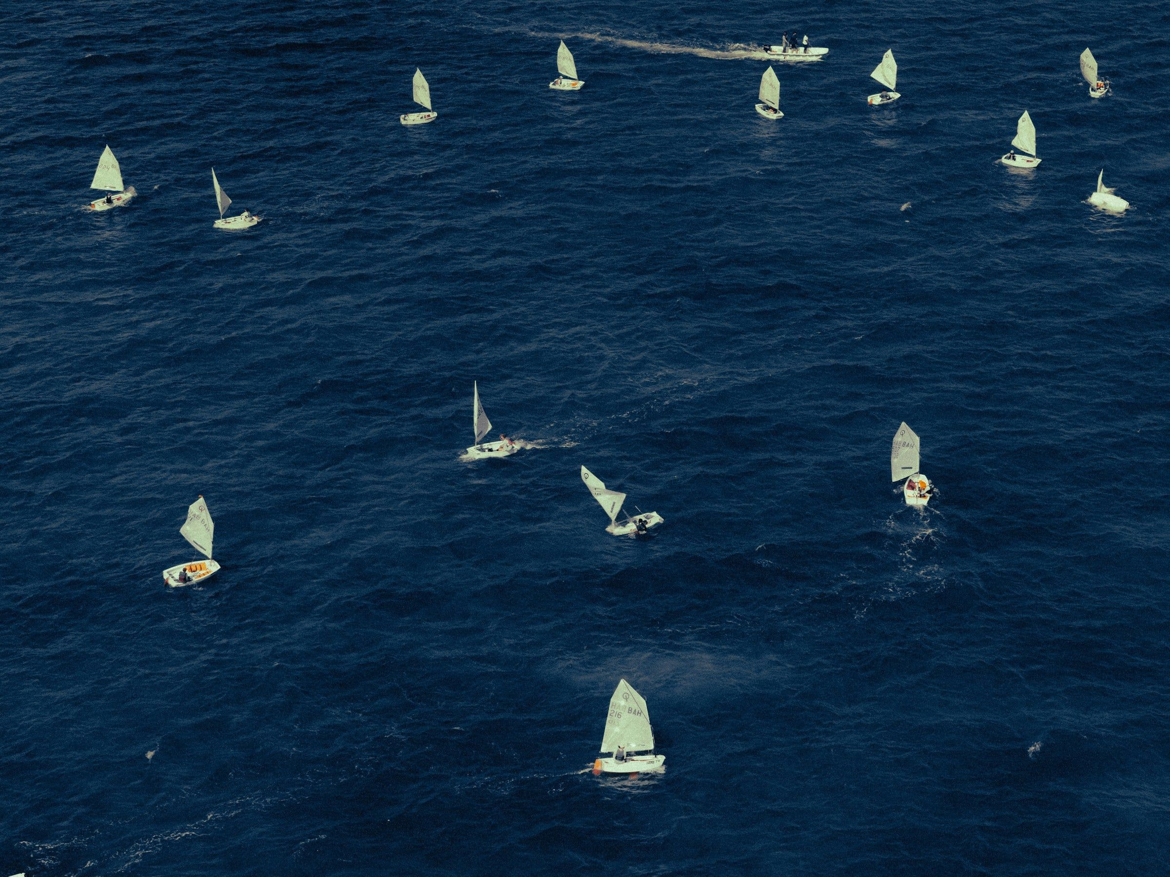 Vista dall'alto di una regata di piccole derive a vela sparse sul mare blu scuro, con le vele bianche gonfie di vento