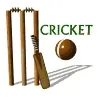 Illustrazione sportiva: cricket