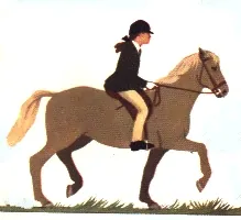 Illustrazione sportiva: Dress
