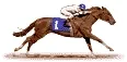 Illustrazione sportiva: equitazione